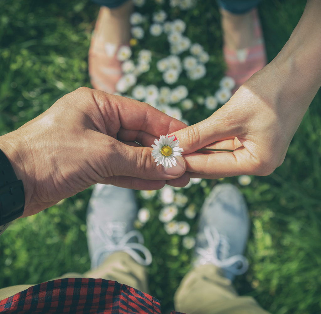two people holding a daisy in a field