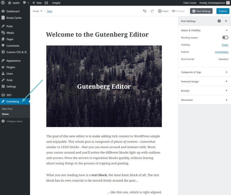 Gutenberg editor interface on WordPress