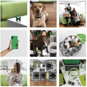 9 Images with green and white to create a cohesive square