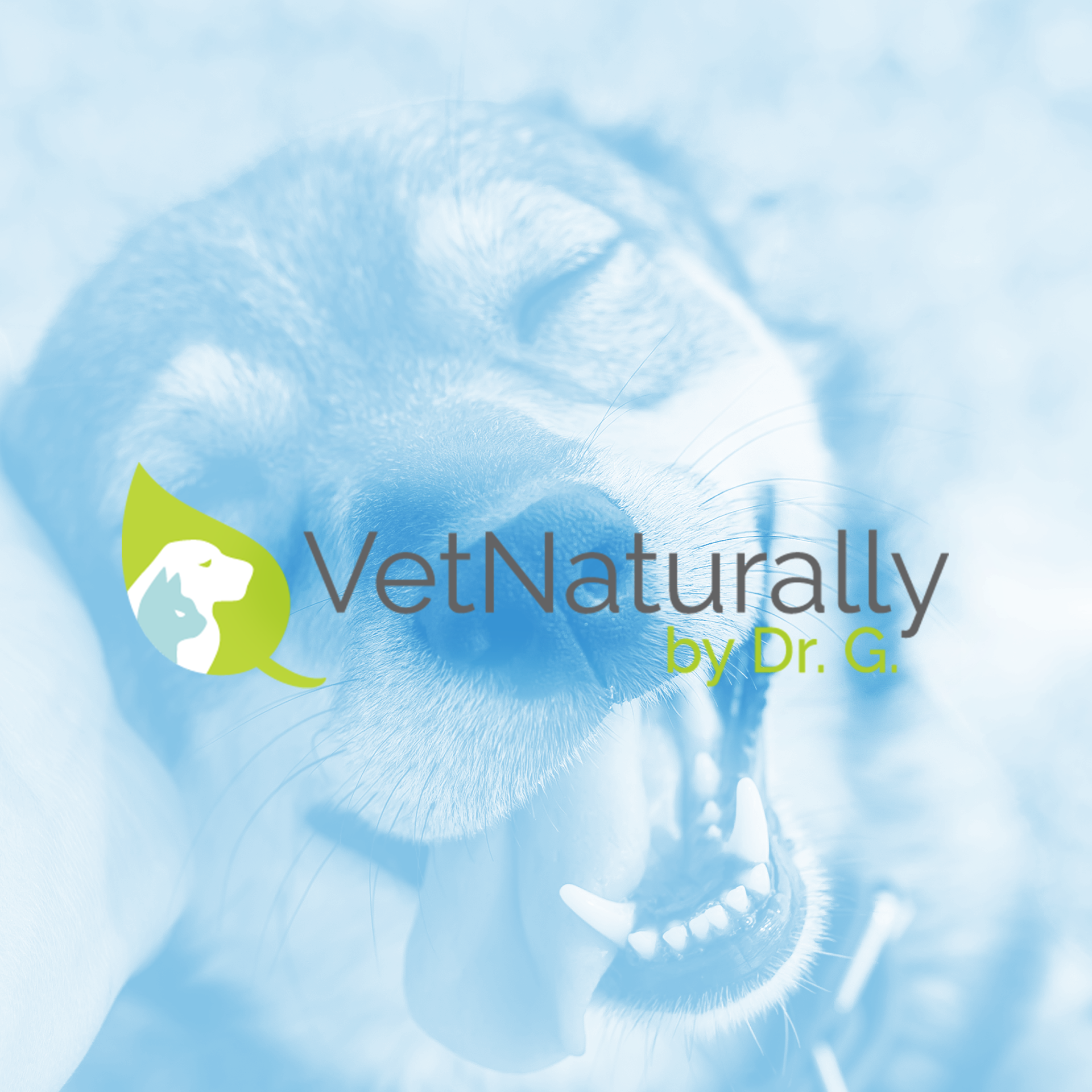 VetNaturally