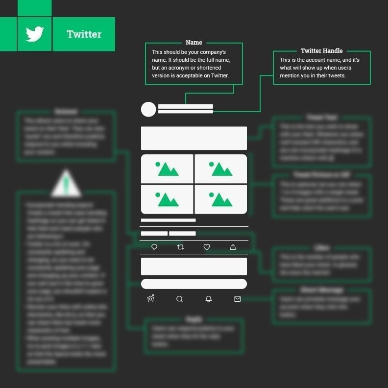 Preview of Twitter section of Social Media Anatomy Freebie, displaying a description of an account's name and Twitter handle