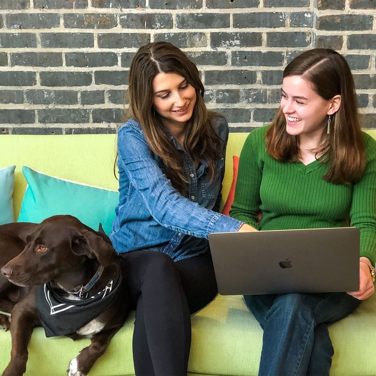 Two Optimists and a barketer work on a couch with a laptop