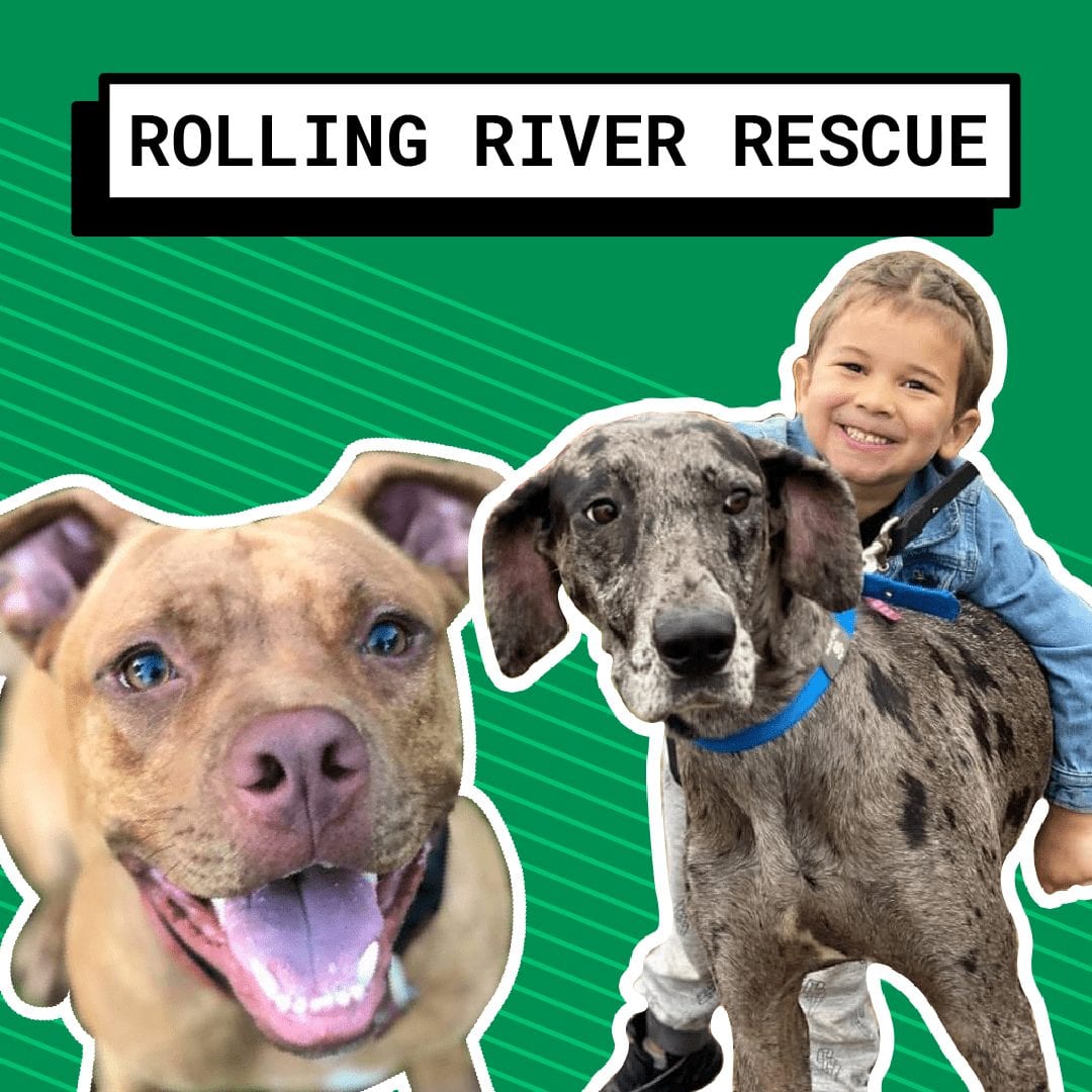 Rolling River Rescue with two dogs and a boy
