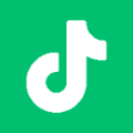Green Flat TikTok Icon