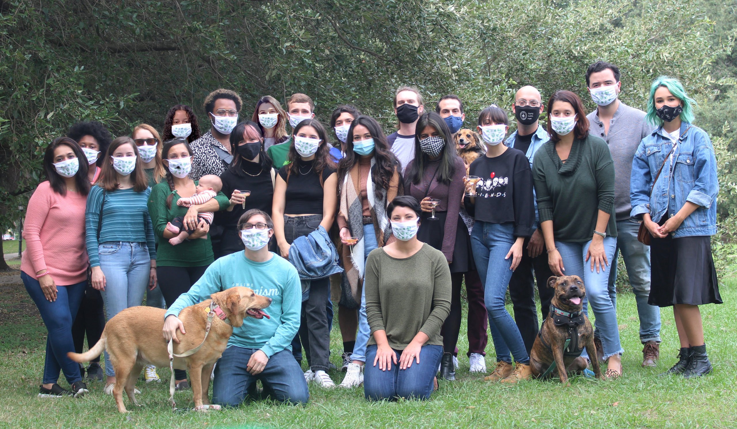 Online Optimism Full Team Masked in the Park