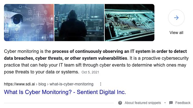 Featured snippet from SDi on cyber monitoring