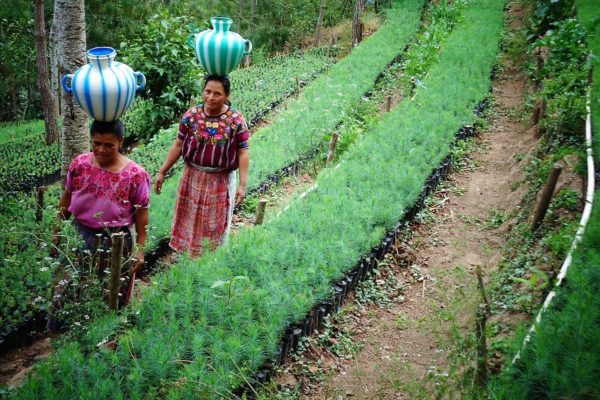 Guatemalan women carrying vases on their heads