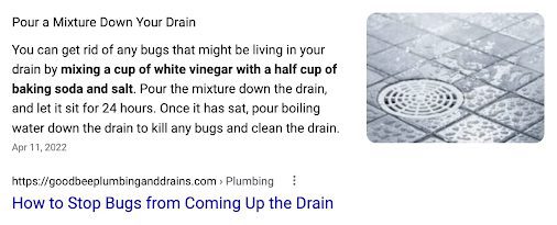 Featured snippet on Google: How to Stop Bugs from Coming Up the Drain