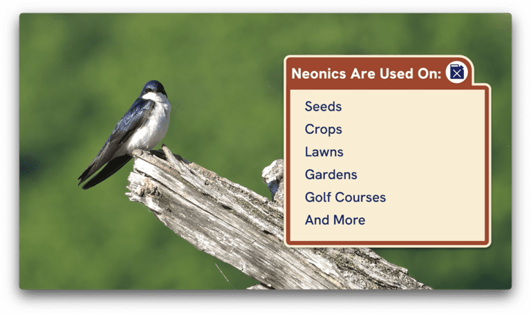 Still from ABC video: Neonics Are Used On: Seeds, Crops, Lawns, Gardens, Golf Courses, and More