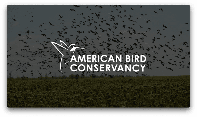 Still from ABC video: Title slide with American Bird Conservancy logo