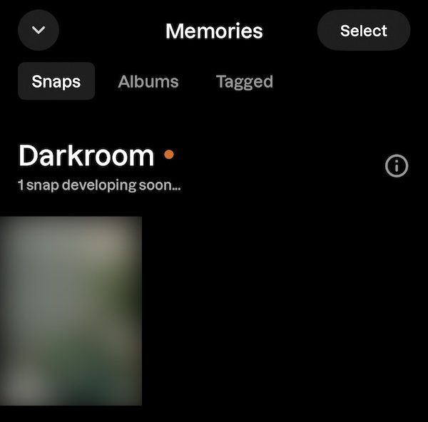 A screenshot of what a user sees on the Lapse app while their photo is developing in the Darkroom.